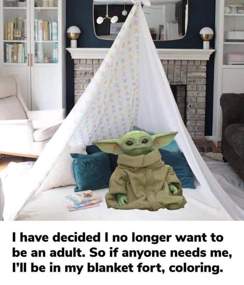 1 have decided no longer want to be an adult So if anyone needs me Ill be in my blanket fort coloring