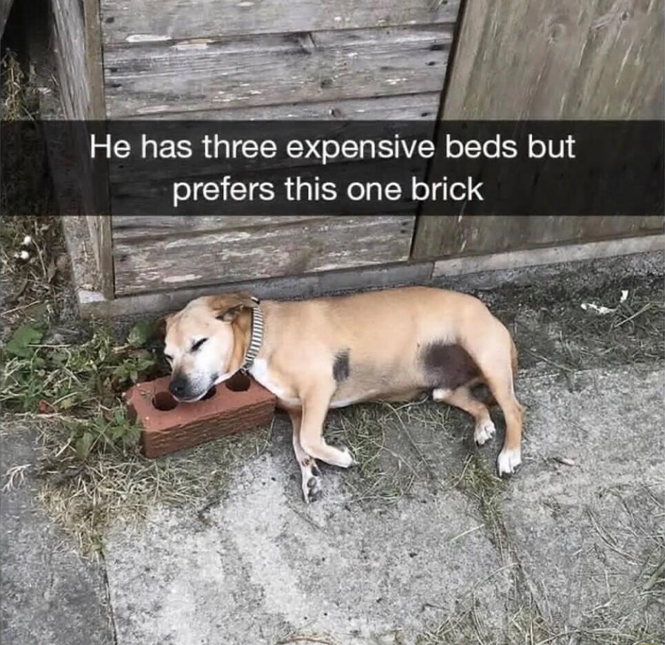 R ERIEER GIEERS oIV N oITo R oV 4 prefers this one bnck