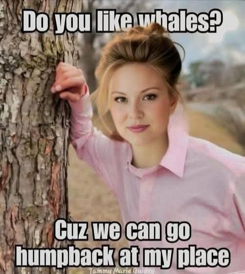 Do you like whales? Cuz we can go humpback at my place