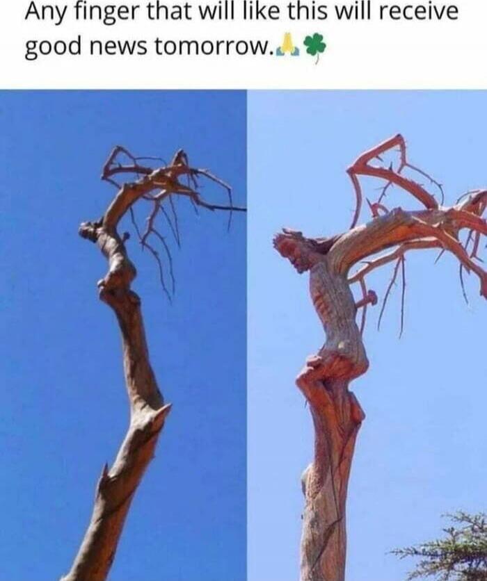 Any finger that will like this will receive good news tomorrow. 🙏🍀