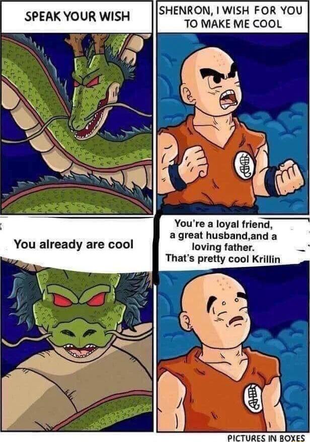 HENR WISH FOR YOU SPEAK YOUR WISH AR oL Youre a loyal friend agreat husbandand a loving father Thats pretty cool Krillin