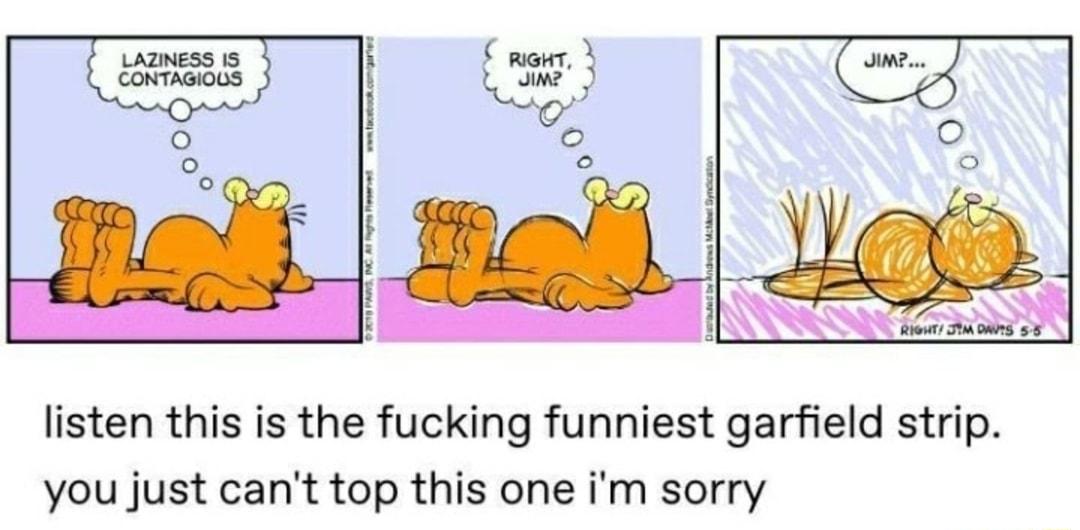 listen this is the fucking funniest garfield strip you just cant top this one im sorry
