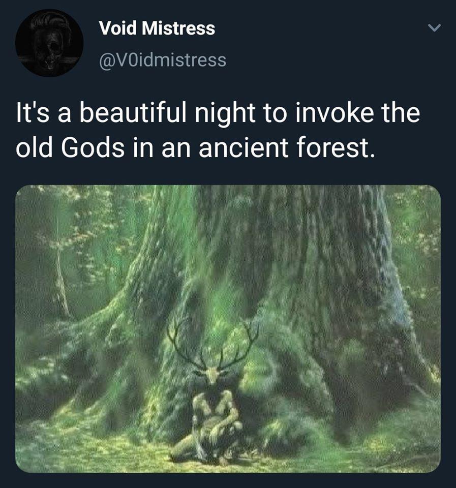 Void Mistress N 0 IS Its a beautiful night to invoke the old Gods in an ancient forest