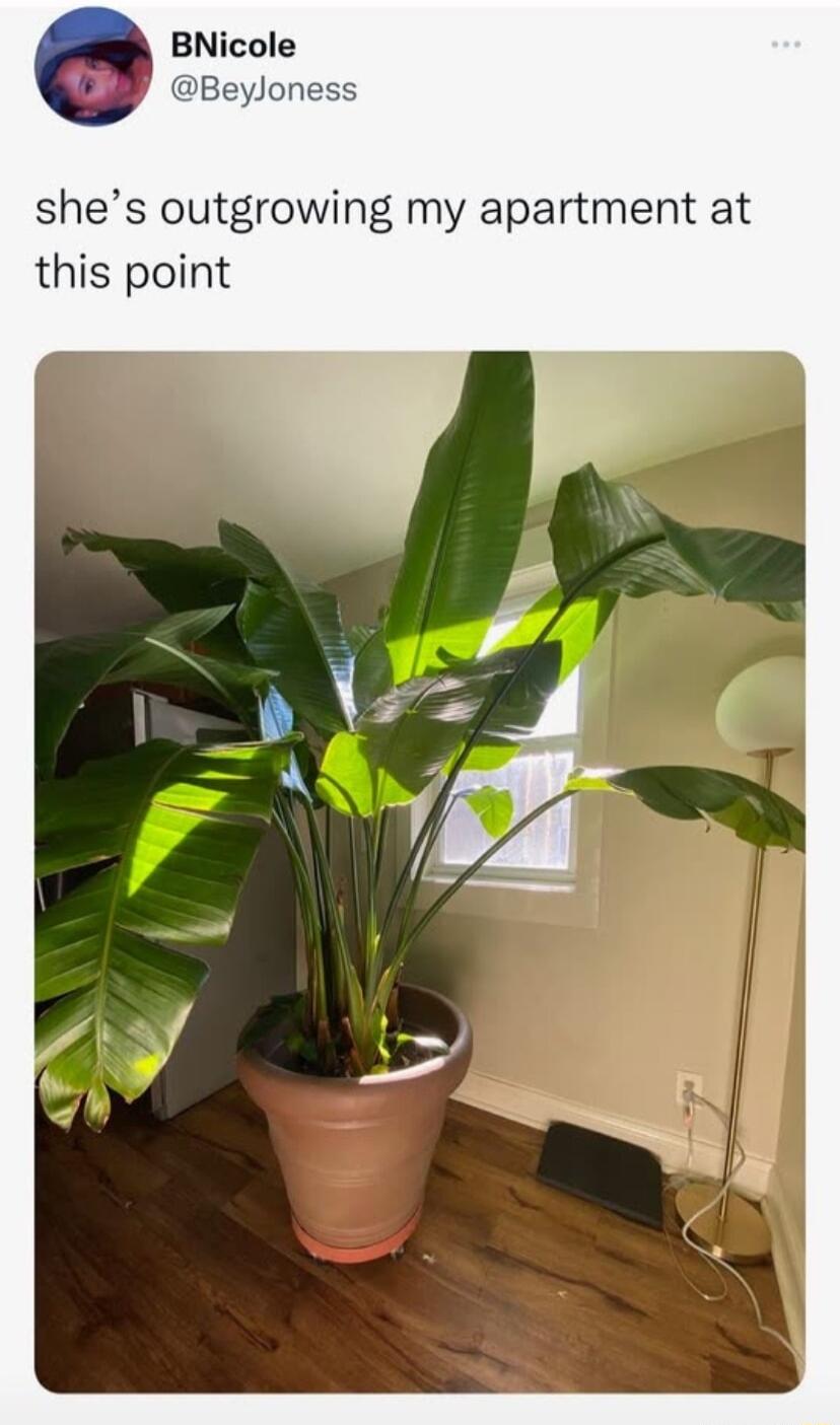 BNicole shes outgrowing my apartment at this point