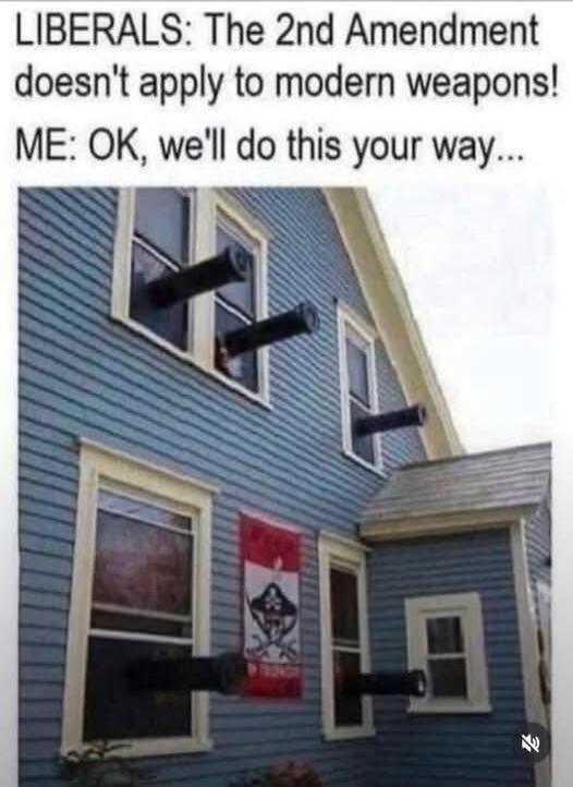 LIBERALS: The 2nd Amendment doesn't apply to modern weapons! ME: OK, we'll do this your way...