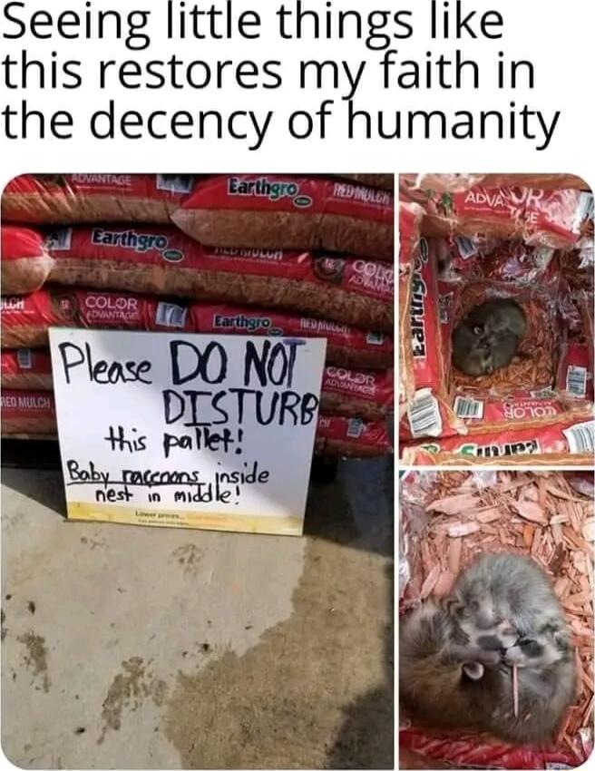 this restores my faith in the decency of humanity