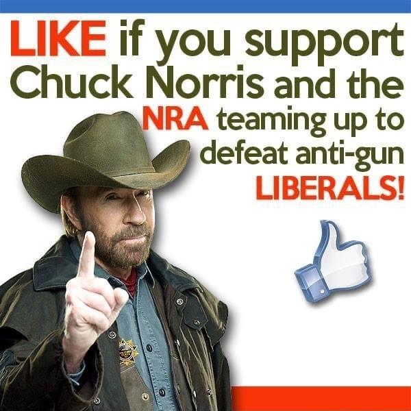 LIKE if you support Chuck Norris and the RA teaming up to defeat anti gun