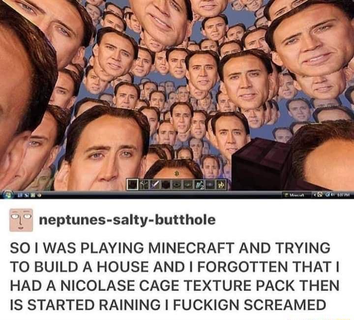 neptunes salty butthole SO WAS PLAYING MINECRAFT AND TRYING TO BUILD A HOUSE AND FORGOTTEN THAT HAD A NICOLASE CAGE TEXTURE PACK THEN IS STARTED RAINING FUCKIGN SCREAMED