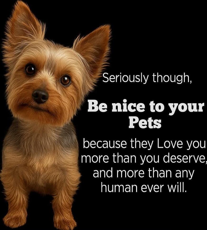 Seriously though, Be nice to your Pets because they Love you more than you deserve, and more than any human ever will.