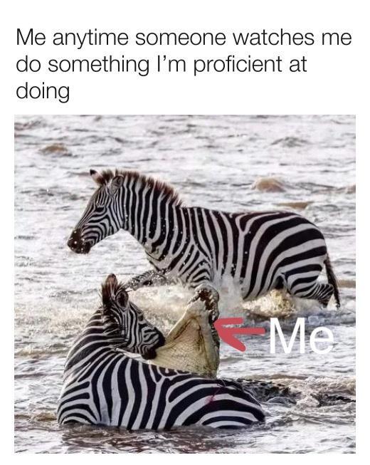 Me anytime someone watches me do something Im proficient at doing
