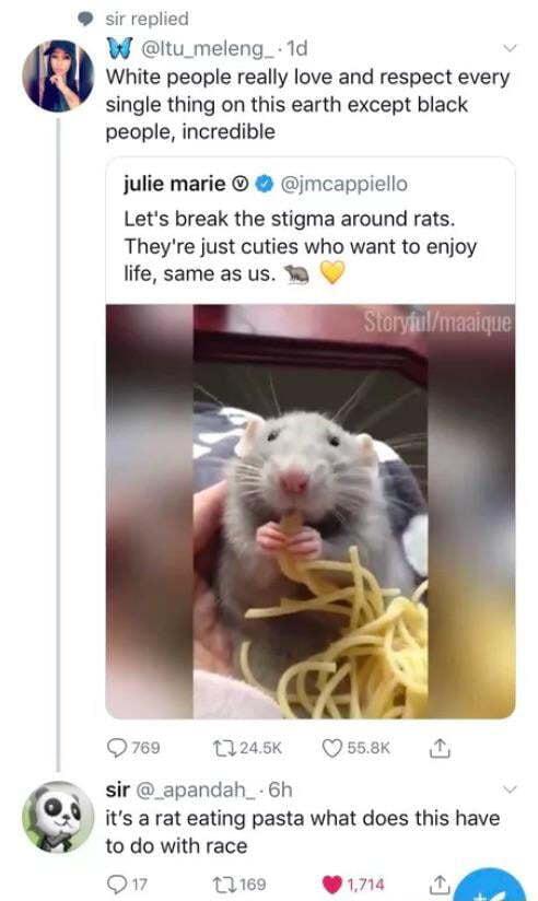 sir replied W Itu_meleng_ 1d White people really love and respect every single thing on this earth except black people incredible julie marie jmcappiello Lets break the stigma around rats Theyre just cuties who want to enjoy life same as us W Q769 245K Q 558k sir _apandah_ 6h its a rat eating pasta what does this have to do with race o 1169 94 a