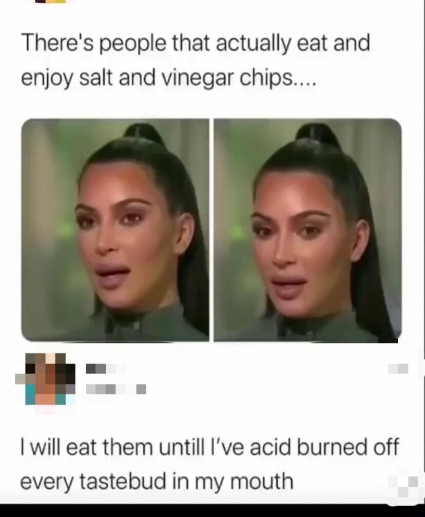 Theres people that actually eat and enjoy salt and vinegar chips will eat them untill Ive acid burned off every tastebud in my mouth