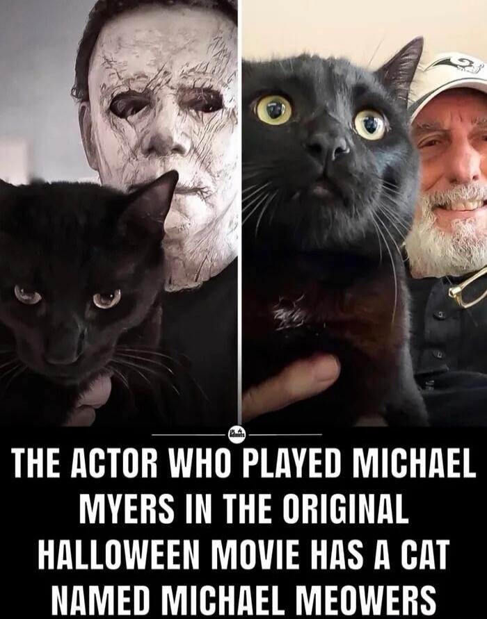 THE ACTOR WHO PLAYED MICHAEL MYERS IN THE ORIGINAL HALLOWEEN MOVIE HAS A CAT NAMED MICHAEL MEOWERS