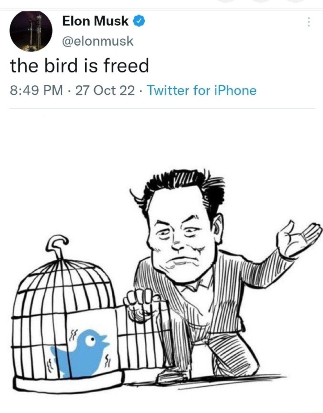 Elon Musk elonmusk the bird is freed 849 PM 27 Oct 22 Twitter for iPhone