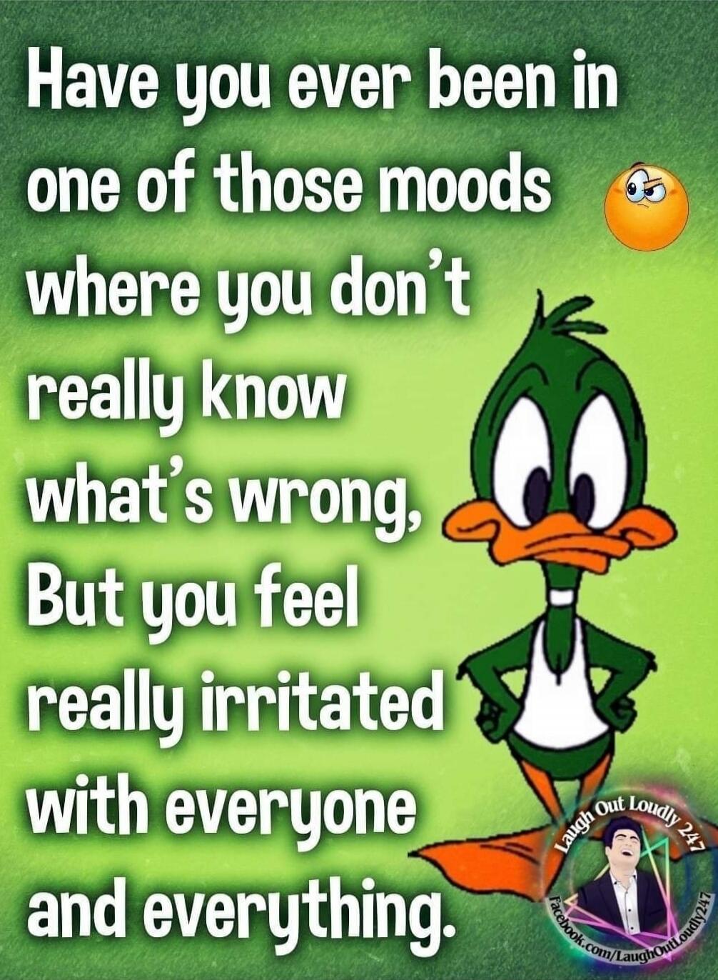 Have you ever been in one of those moods where you don’t really know what’s wrong, But you feel really irritated with everyone and everything.