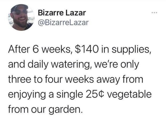 Bizarre Lazar BizarreLazar After 6 weeks 140 in supplies and daily watering were only three to four weeks away from enjoying a single 25 vegetable from our garden 242 PM 52321 Twitter for iPhone