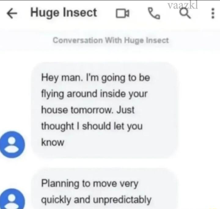 Hugelnsect u H Conversation With Huge Insect Hey man Im going to be flying around inside your house tomorrow Just thought should let you D o Planning to move very n quickly and unpredictably