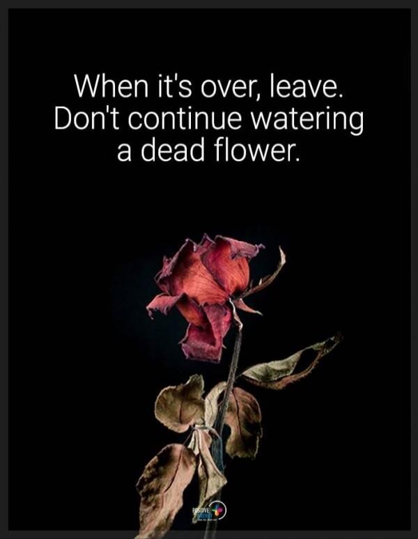 When it's over, leave. Don't continue watering a dead flower.
