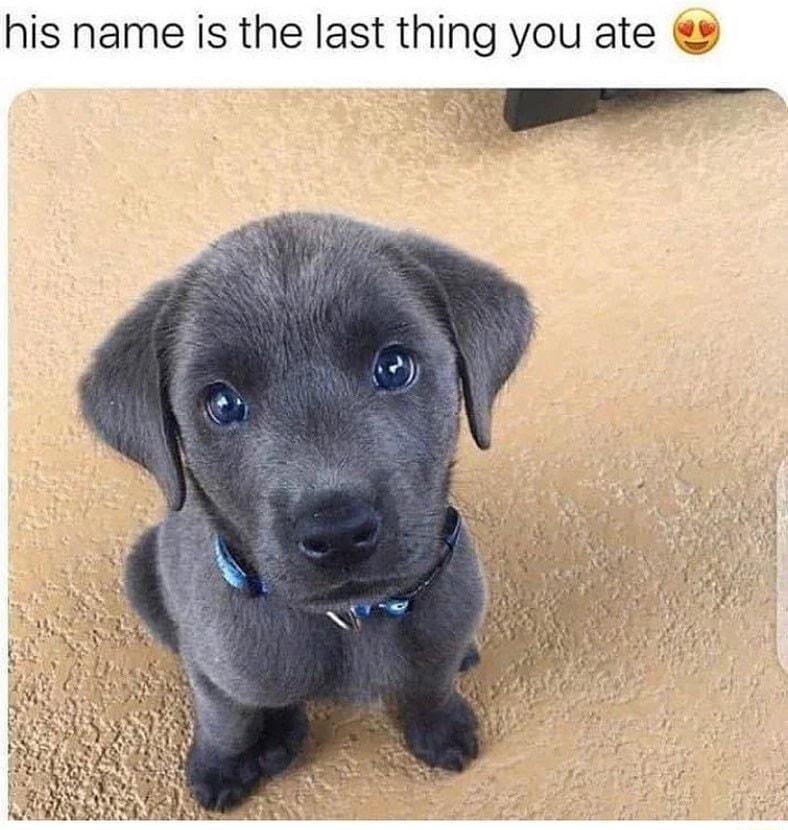 his name is the last thing you ate