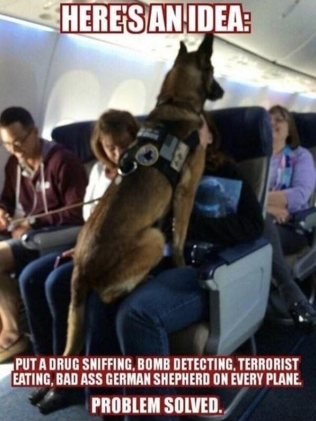 HERE'S AN IDEA: PUT A DRUG SNIFFING, BOMB DETECTING, TERRORIST EATING, BAD ASS GERMAN SHEPHERD ON EVERY PLANE. PROBLEM SOLVED.