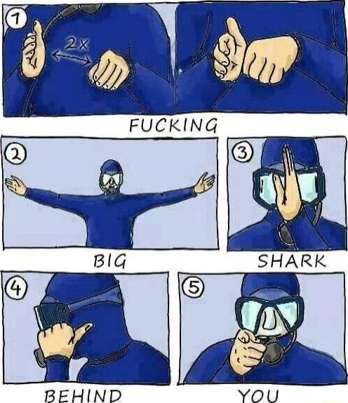 FUCKING BIG SHARK BEHIND YOU