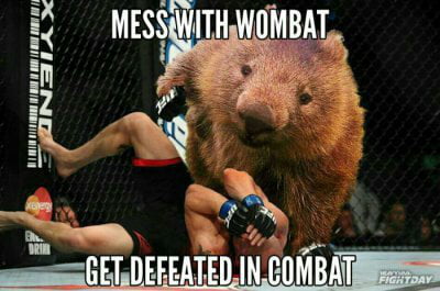 SETDEFEATEDINGI