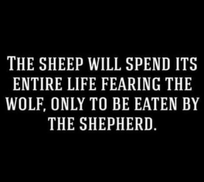 THE SHEEP WILL SPEND ITS ENTIRE LIFE FEARING THE WOLF ONLY TO BE EATEN BY THE SHEPHERD