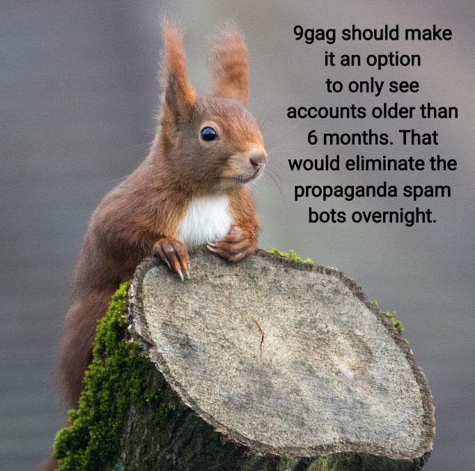 9gag should make it an option to only see accounts older than 6 months That would eliminate the propaganda spam bots overnight