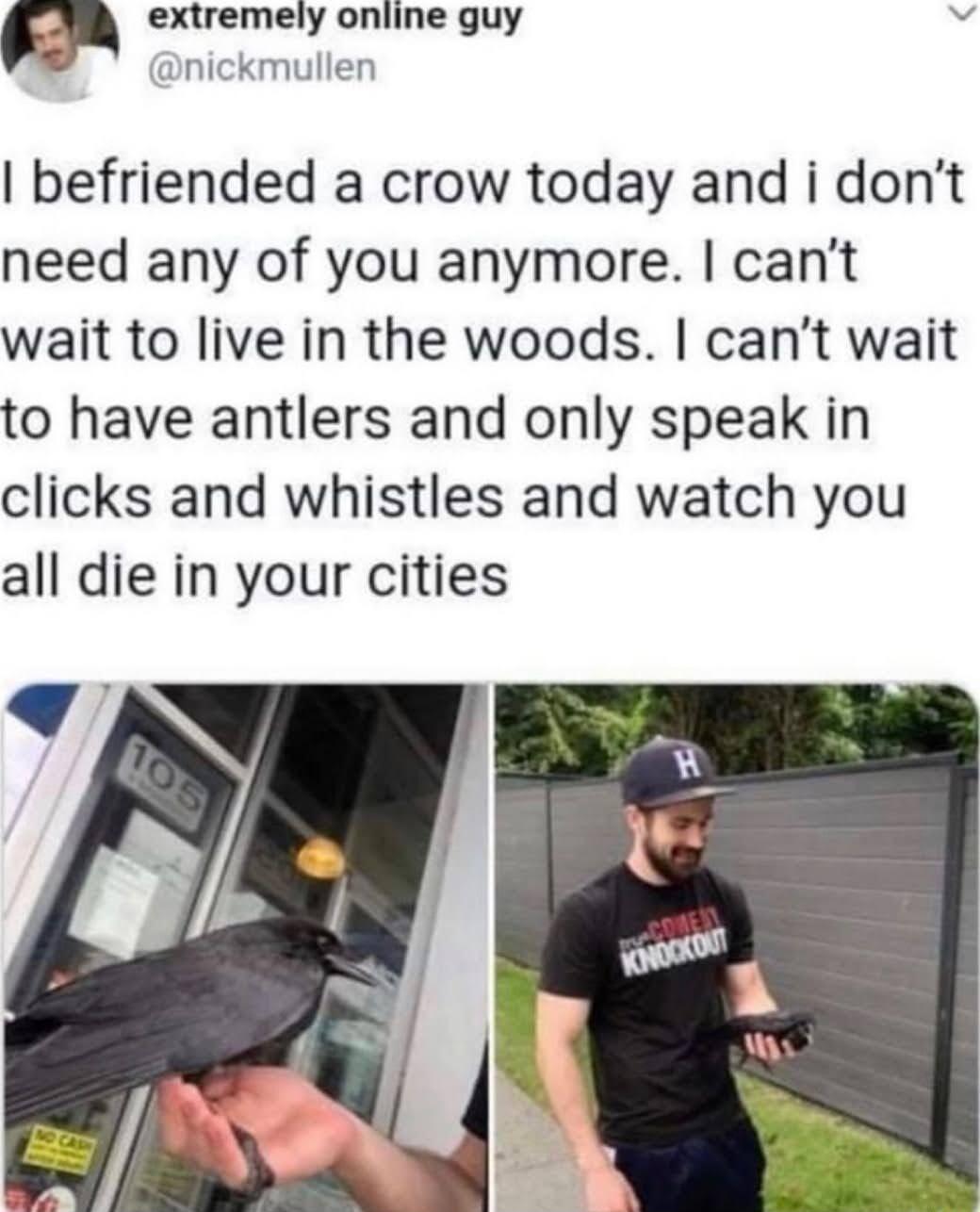 m extremely online guy v dnickmullen befriended a crow today and i dont need any of you anymore cant wait to live in the woods cant wait to have antlers and only speak in clicks and whistles and watch you all die in your cities