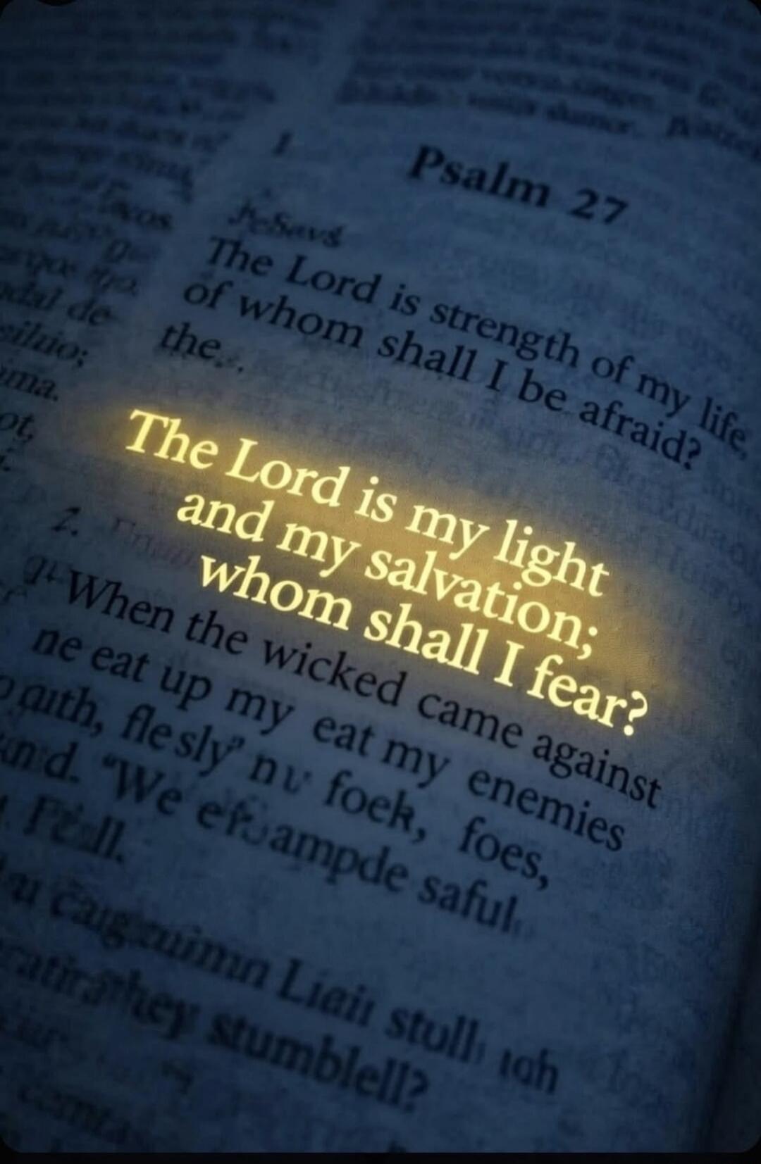 Psalm 27. The Lord is strength of my life, of whom shall I be afraid? The Lord is my light and my salvation; whom shall I fear? When the wicked came against me to eat up my flesh, my enemies and my foes, they stumbled and fell.