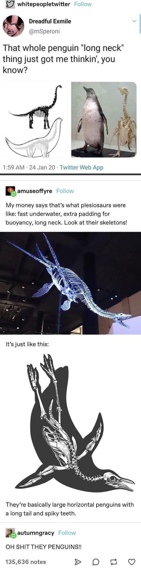 7 whitepeopletwitter 4 Dreadful Exmile t g mSperoni That whole penguin long neck thing just got me thinkin you know i 159 AM 24 Jan 20 Twitter Web App Qamuseoffyre F W My money says thats what plesiosaurs were like fast underwater extra padding for buoyancy long neck Look at their skeletons Theyre basically large horizontal penguins with along tail and spiky teeth autumngracy Follow OH SHIT THEY P