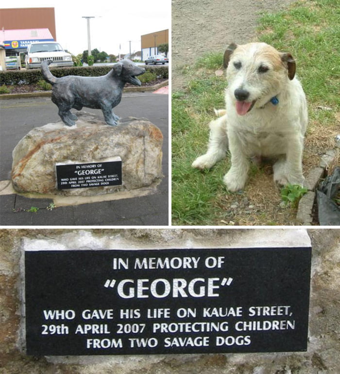 i i IN MEMORY OF GEORGE WHO GAVE HIS LIFE ON KAUAE STREET 29th APRIL 2007 PROTECTING CHILDREN FROM TWO SAVAGE DOGS