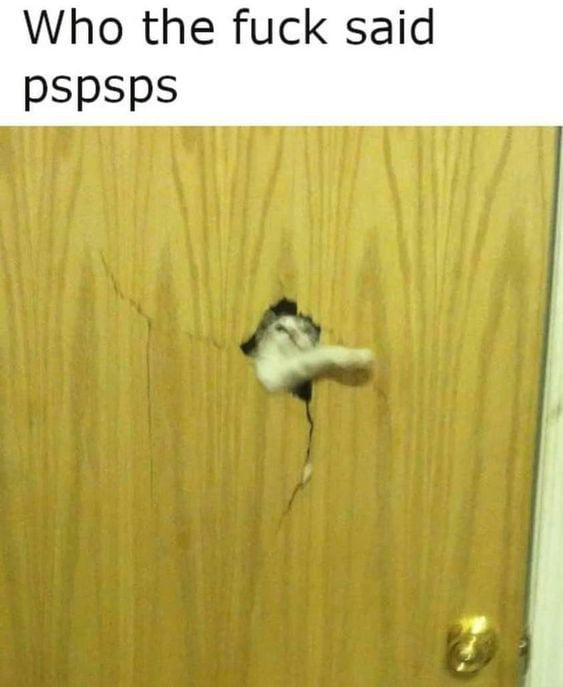 Who the fuck said pSpsps ag