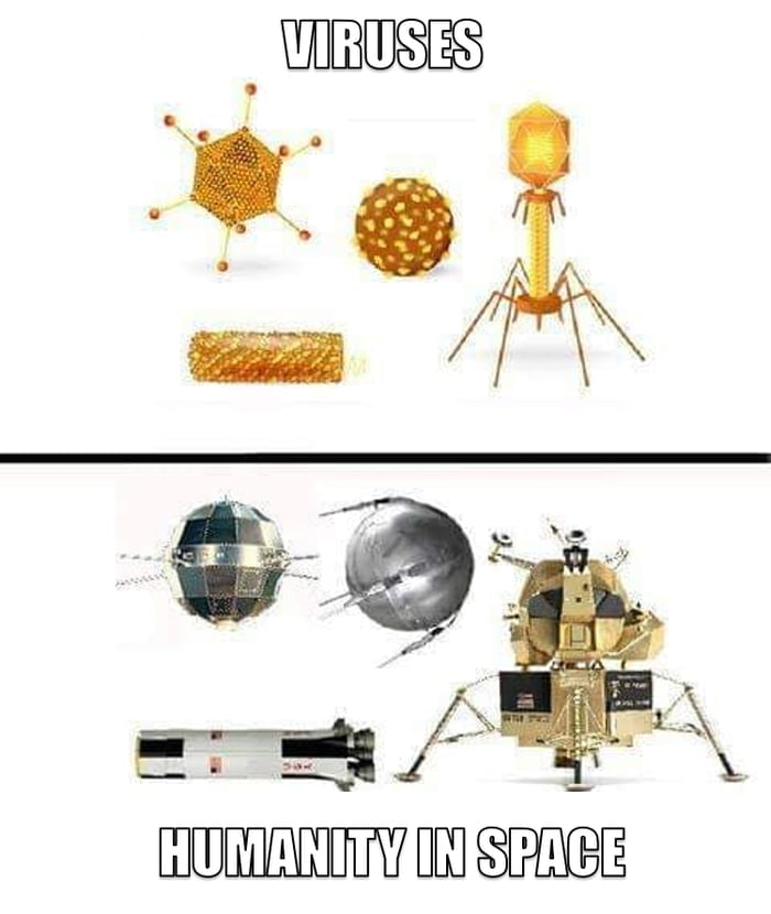 JUIRUSES HUMANITVIN 8