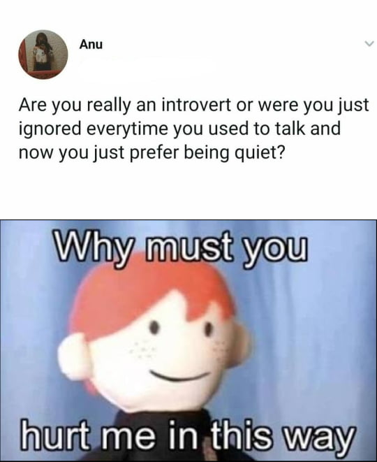 o Are you really an introvert or were you just ignored everytime you used to talk and now you just prefer being quiet