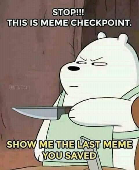 STOP!!! THIS IS MEME CHECKPOINT. SHOW ME THE LAST MEME YOU SAVED