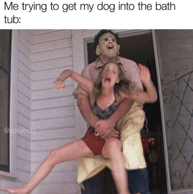 Me trying to get my dog into the bath tub: @spcybois