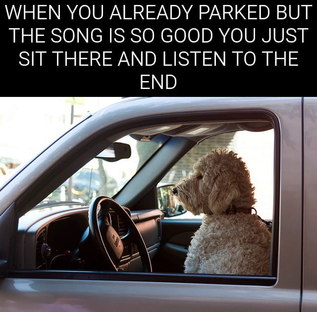 WHEN YOU ALREADY PARKED BUT THE SONG IS SO GOOD YOU JUST SIT THERE AND LISTEN TO THE END