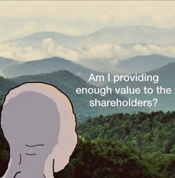 Am I providing enough value to the shareholders?