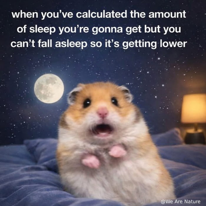 when you’ve calculated the amount of sleep you’re gonna get but you can’t fall asleep so it’s getting lower