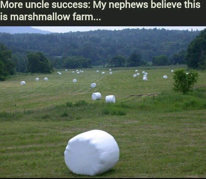 Y o1V Tog CRTT ool Y VA T o Ly TSR o TS T R T EELETENEN TR ET