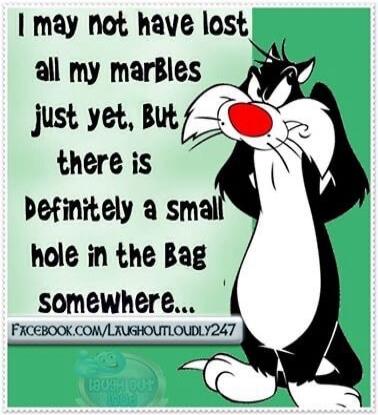 I may not have lost all my marbles just yet, but there is definitely a small hole in the bag somewhere...