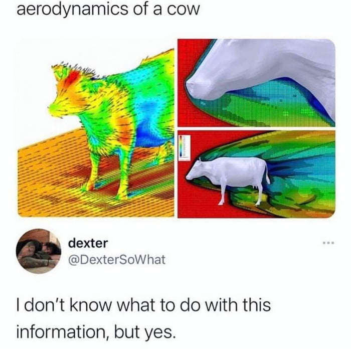 aerodynamics of a cow dexter DexterSoWhat dont know what to do with this information but yes