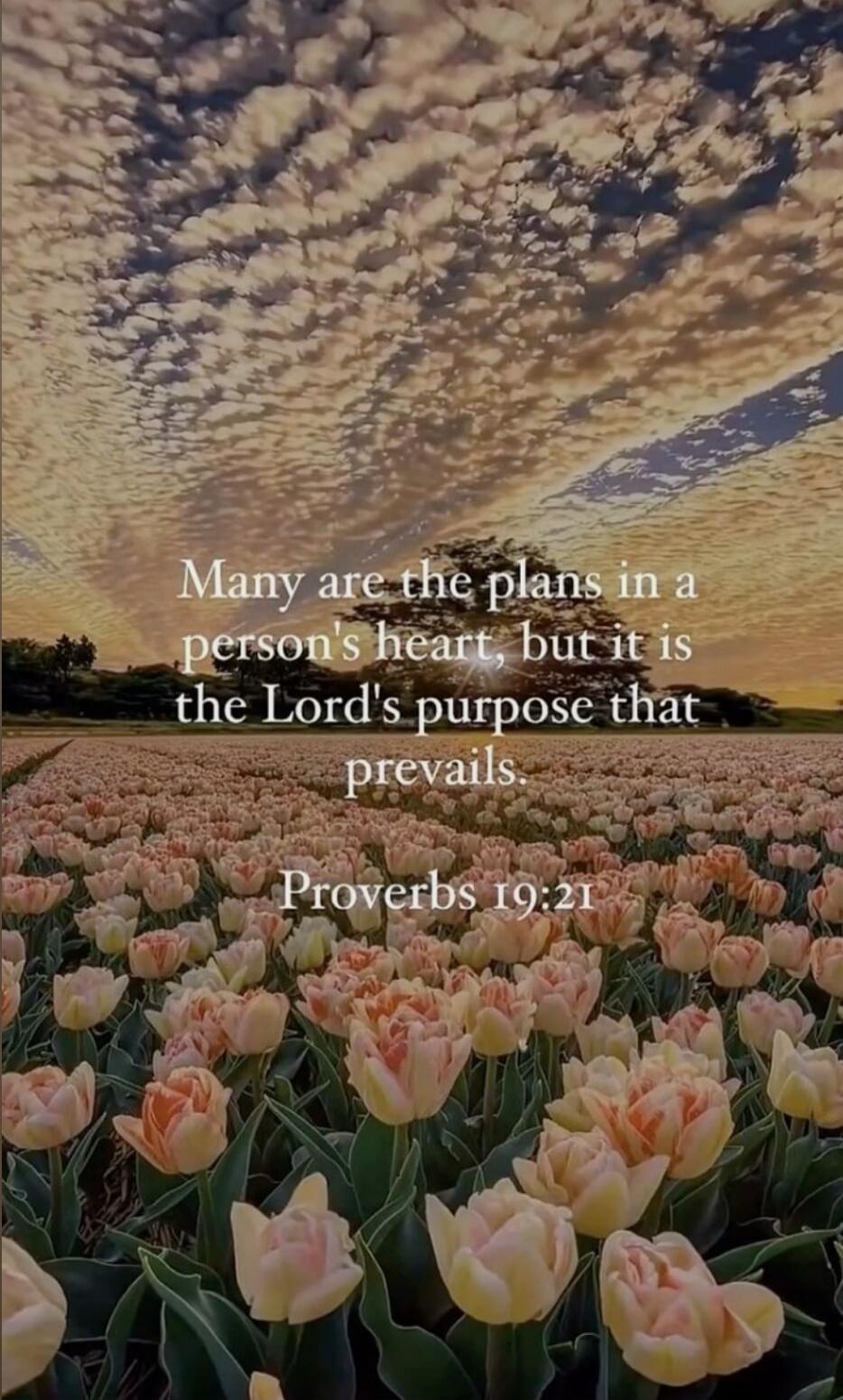 Many are the plans in a person's heart, but it is the Lord's purpose that prevails. Proverbs 19:21
