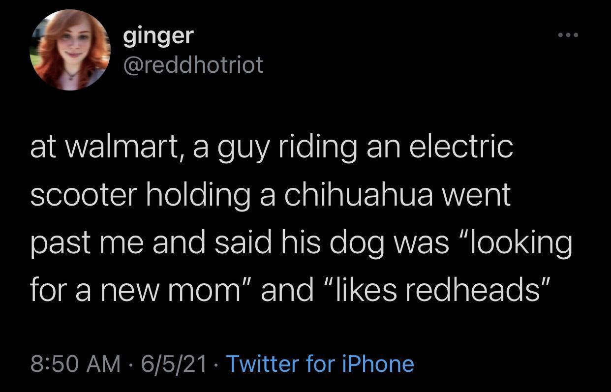 4 ginger Ileelploiglos at walmart a guy riding an electric SeelelIgalolleIpleRNeiallalUF oIS EERVETole past me and said his dog was looking for a new mom and likes redheads 850 AM 6521 Twitter for iPhone