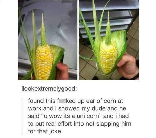 ilookextremelygood found this furked up ear of corn at work and i showed my dude and he said o wow its a uni corn and i had to put real effort into not slapping him for that joke