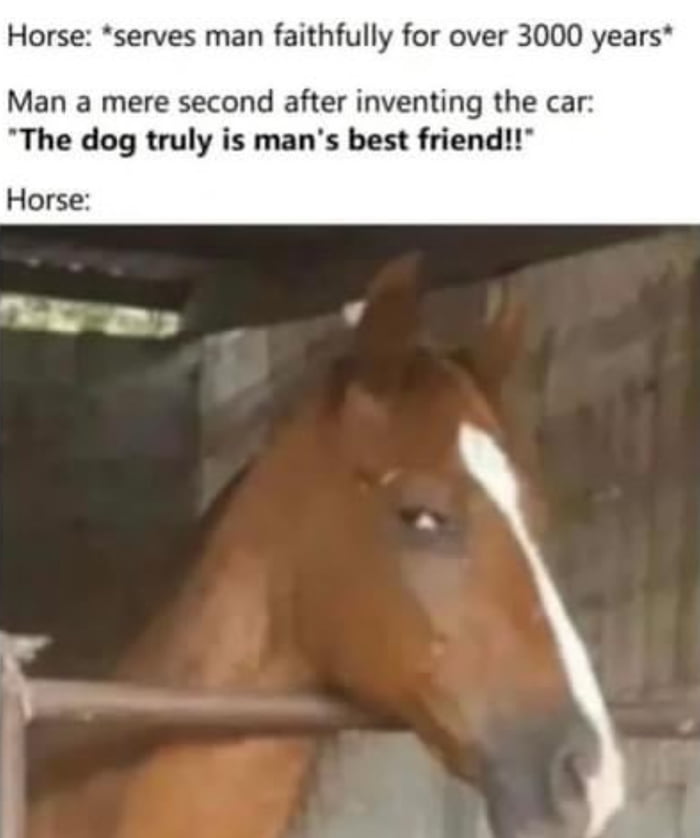 Horse serves man faithfully for over 3000 years Man a mere second after inventing the car The dog truly is mans best friend