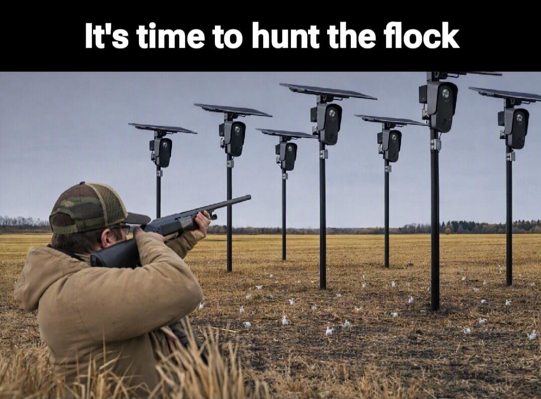 It's time to hunt the flock