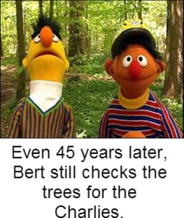 Even 45 years later Bert still checks the trees for the