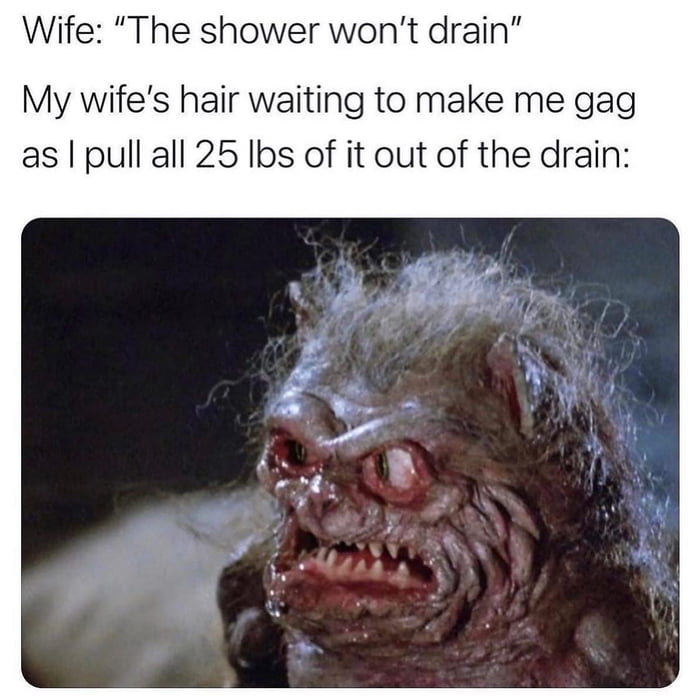 Wife The shower wont drain My wifes hair waiting to make me gag as pull all 25 Ibs of it out of the drain
